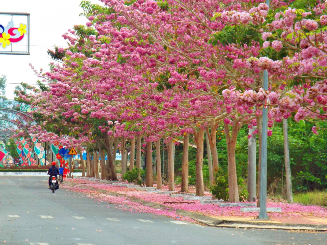 MIA.vn gợi ý 10 địa điểm dạo chơi lý tưởng quanh Sài Gòn 5