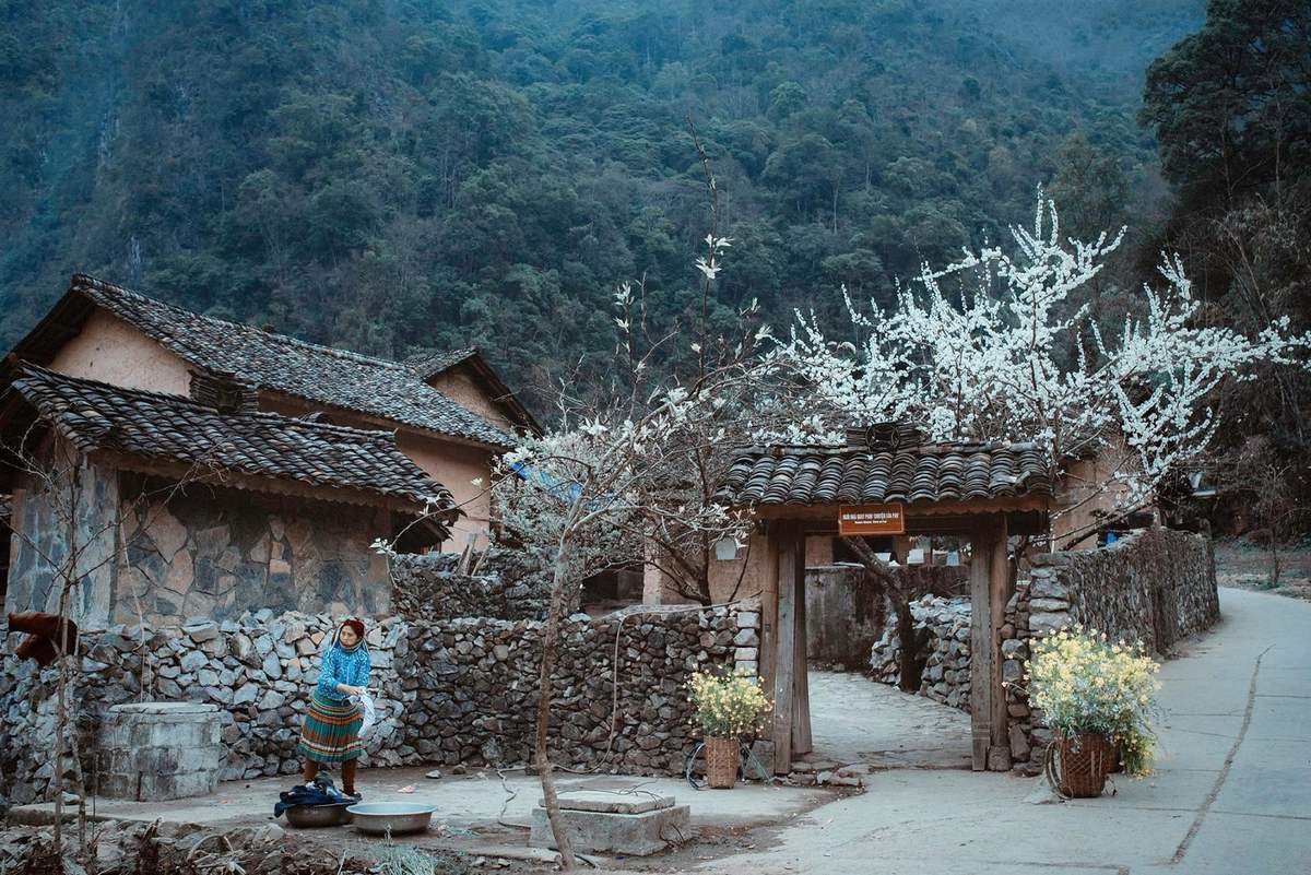 Ấn tượng làng văn hóa du lịch Lũng Cẩm Hà Giang gấm hoa miền cực bắc