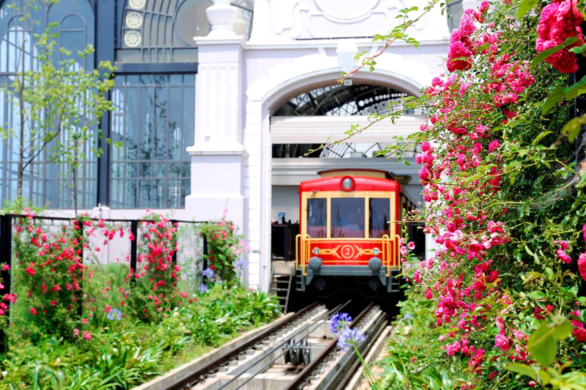 The Muong Hoa train ride will bring you a beautiful space to admire the majestic Hoang Lien Son mountain scenery.