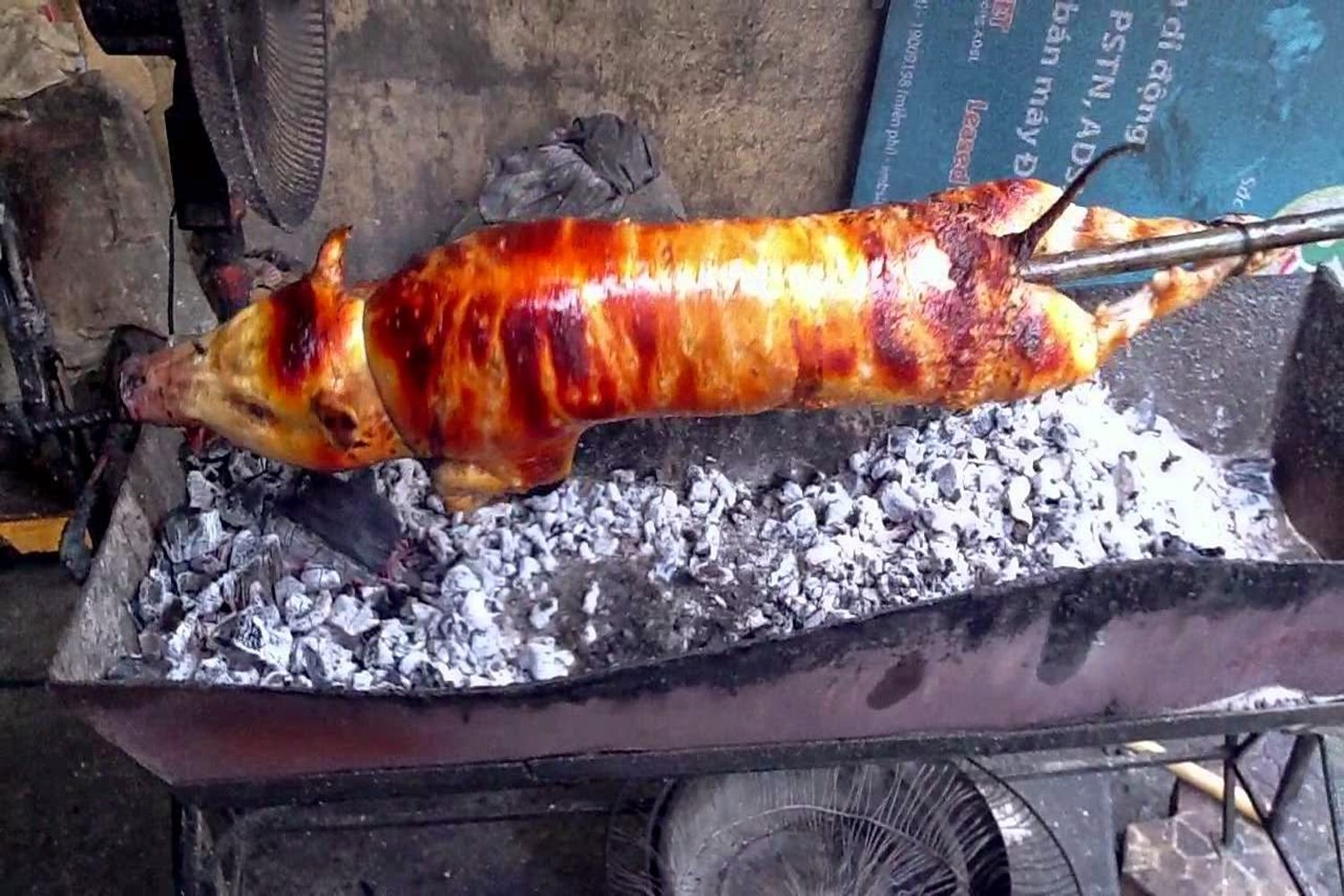 Thịt lợn cắp nách - Loại thịt rừng nhân tạo được tín đồ ẩm thực săn lùng 5