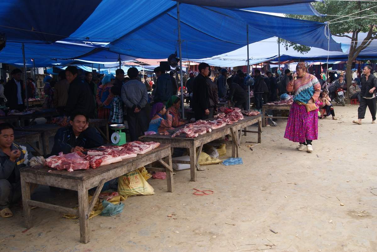 Thịt lợn cắp nách - Loại thịt rừng nhân tạo được tín đồ ẩm thực săn lùng 6