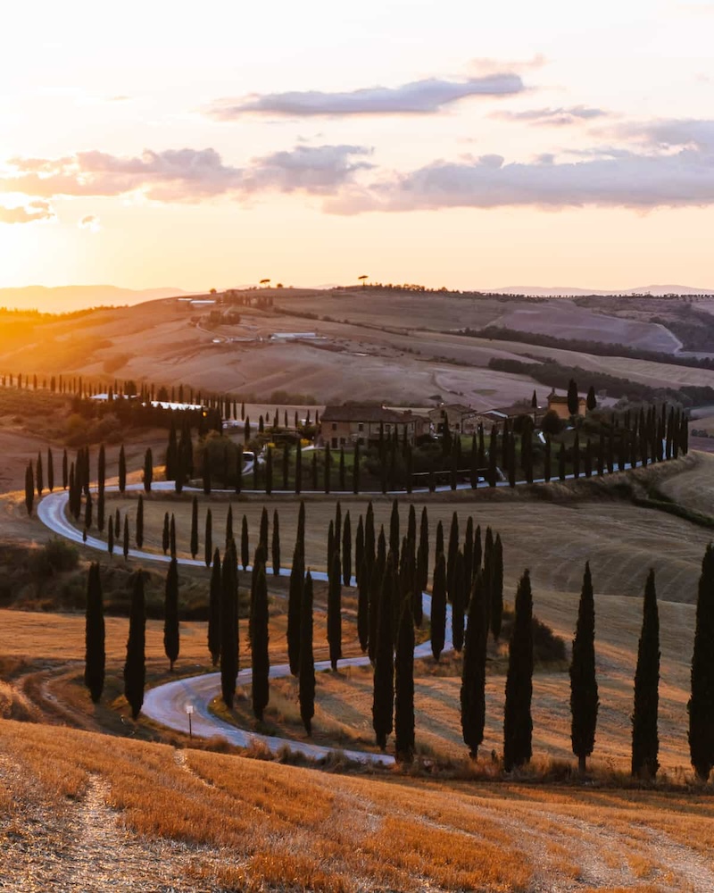 Tuscany, vùng đất lãng mạn của hoa hồng và rượu vang 2