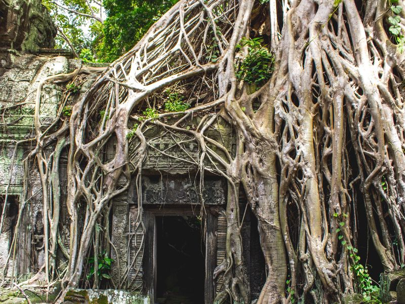 Angkor Wat: Hành trình khám phá “trái tim” của Campuchia 19