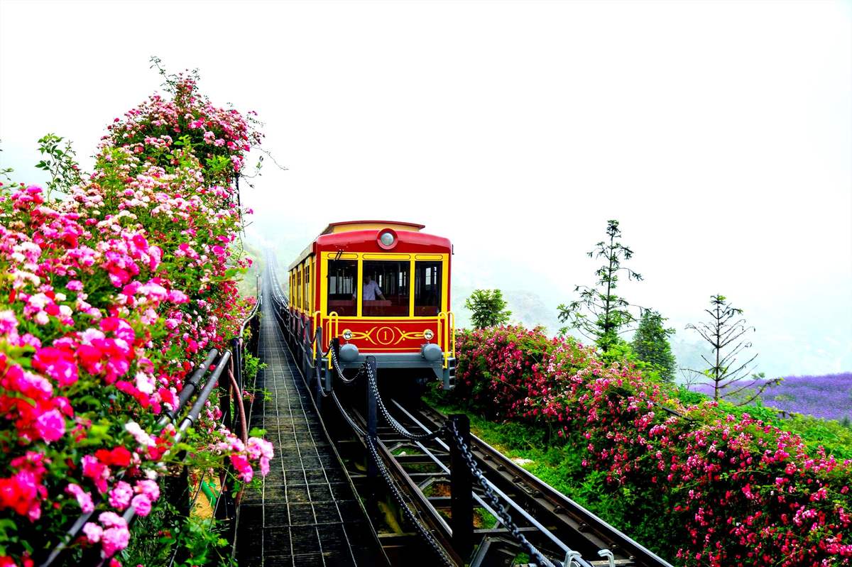 Bạn biết gì về chuyến tàu hỏa leo núi Mường Hoa đặc biệt?