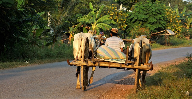 Viên ngọc thô Battambang yên ắng ẩn mình giữa lòng Campuchia 6