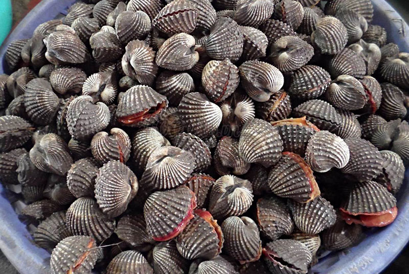 Biển Bình Đại Bến Tre, tọa độ trốn nóng lý tưởng dịp hè này 8