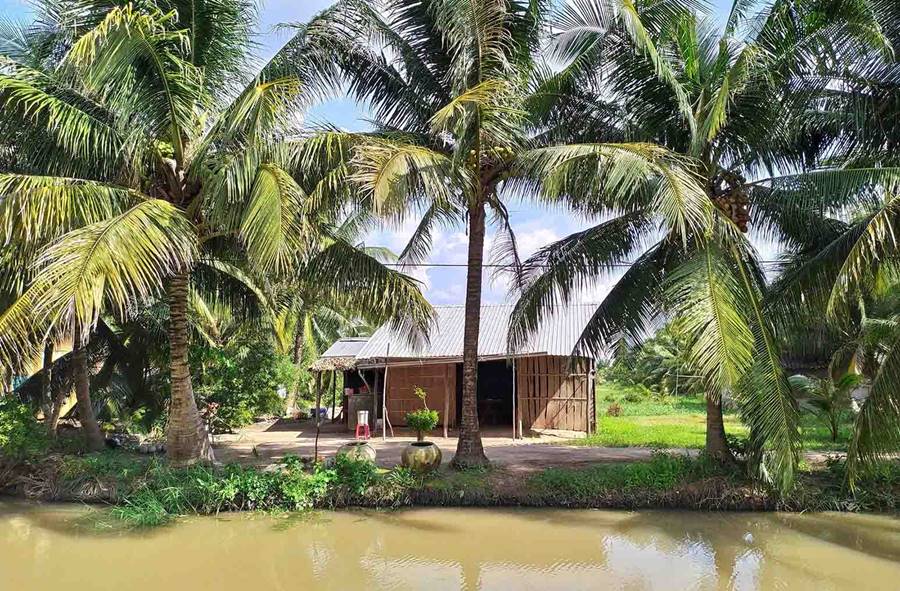 Bộ ảnh review xứ dừa Bến Tre với vẻ đẹp bình yên miền thôn dã 4