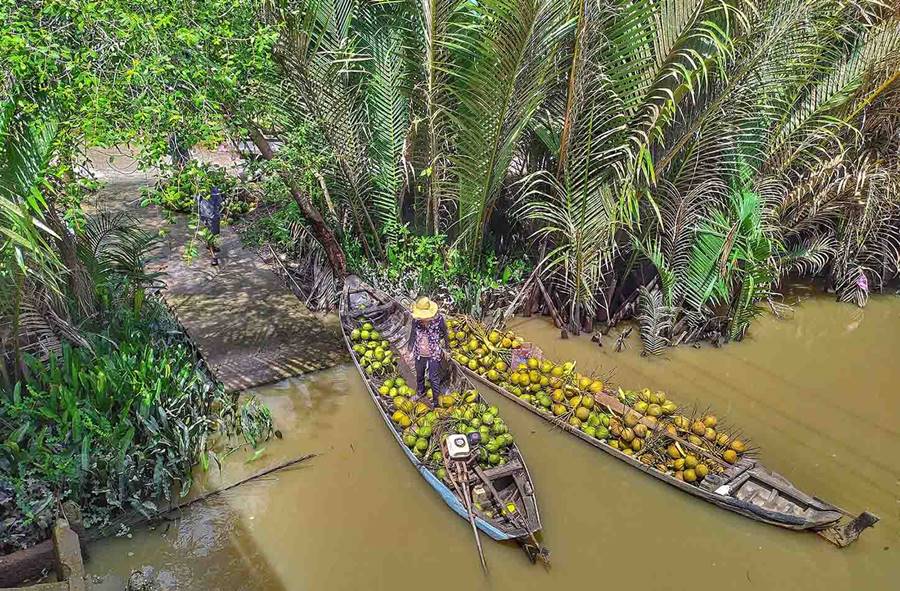 Bộ ảnh review xứ dừa Bến Tre với vẻ đẹp bình yên miền thôn dã 5