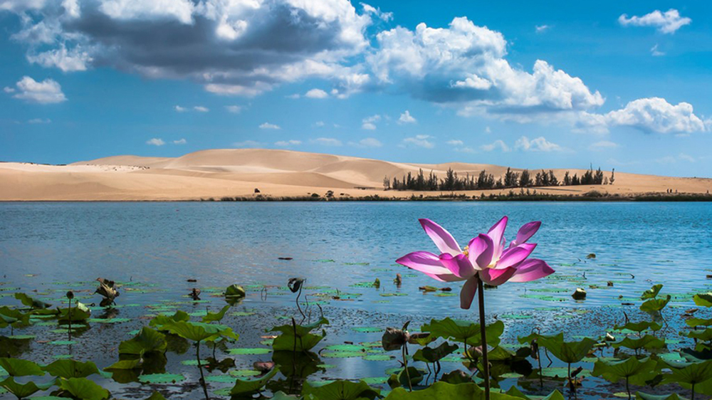 Bỏ túi lịch trình Phan Thiết 2N1Đ tự túc siêu hấp dẫn 4