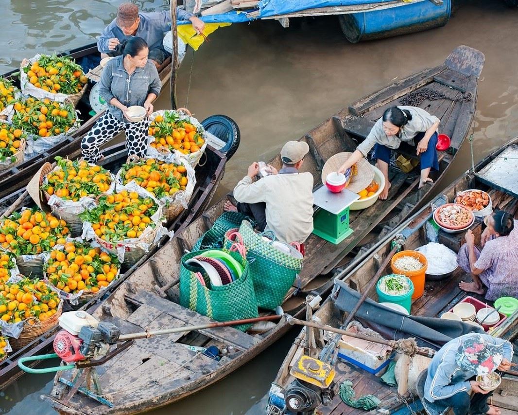 Bỏ túi ngay Kinh nghiệm đi Cần Thơ tự túc siêu chi tiết 4