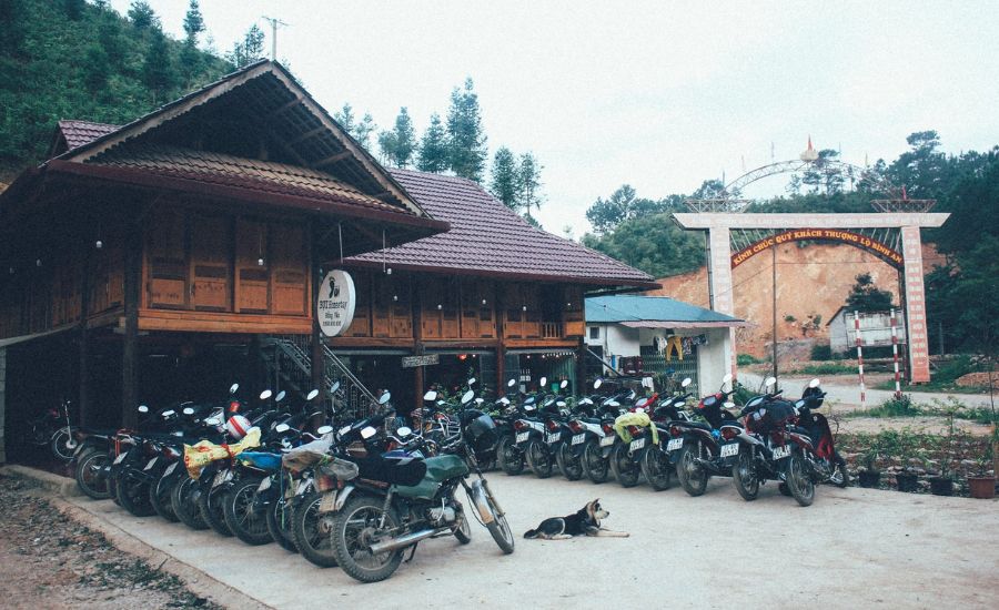 Bụi Homestay Hà Giang, điểm đến bình yên nơi cao nguyên xanh 2
