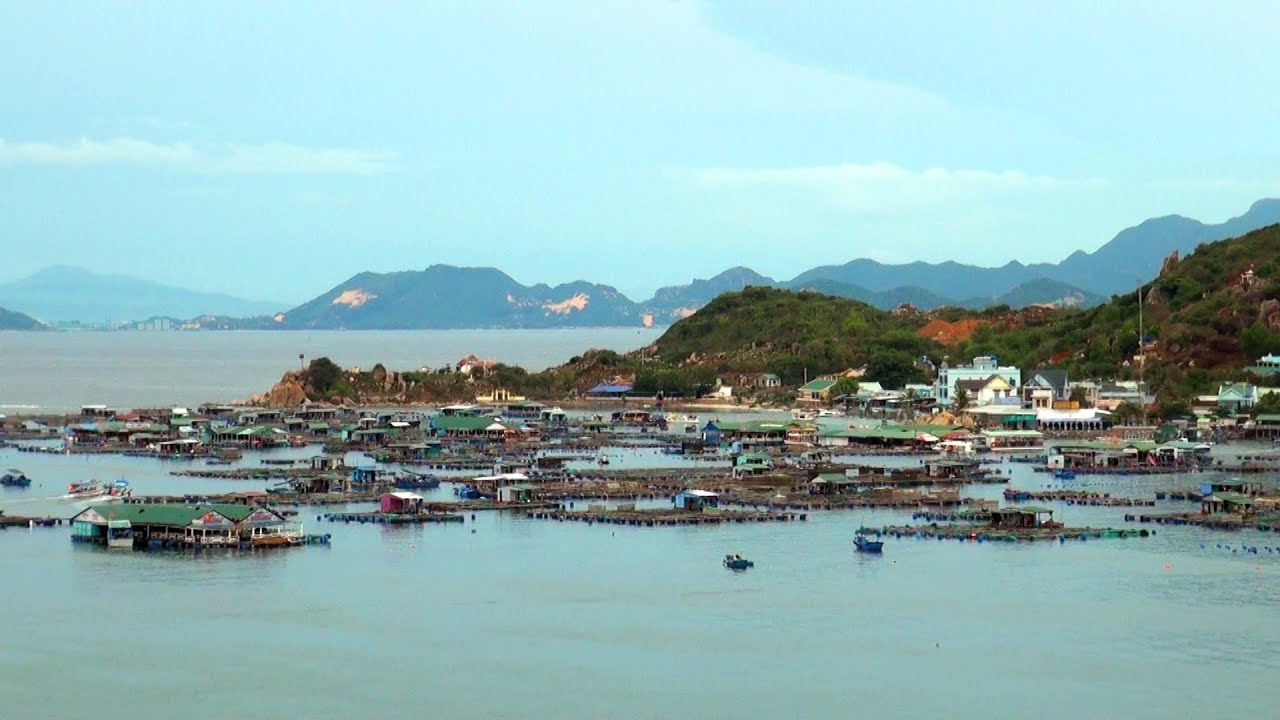The peaceful scene with floating seafood rafts at Cam Ranh