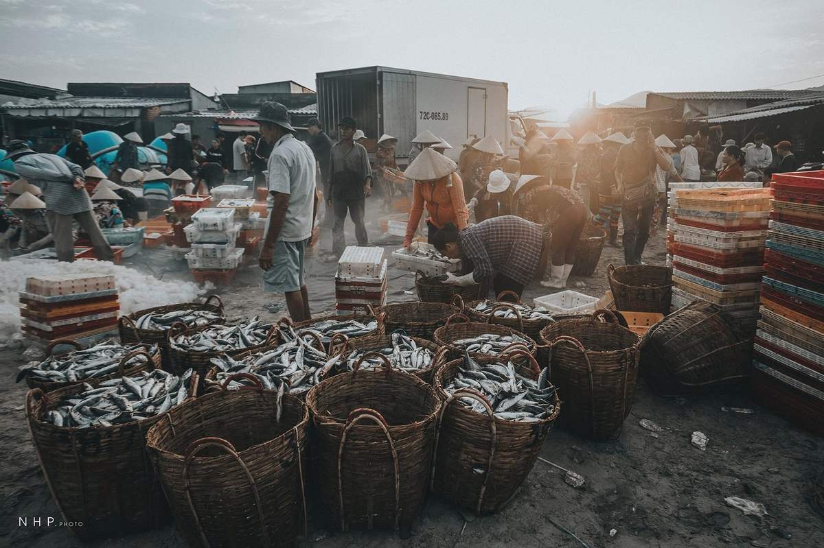 Cảng cá Bà Rịa - Vũng Tàu - Nhịp sống sớm mai tại cảng cá qua ống kính của nhiếp ảnh gia Nguyễn Hoàng Phi
