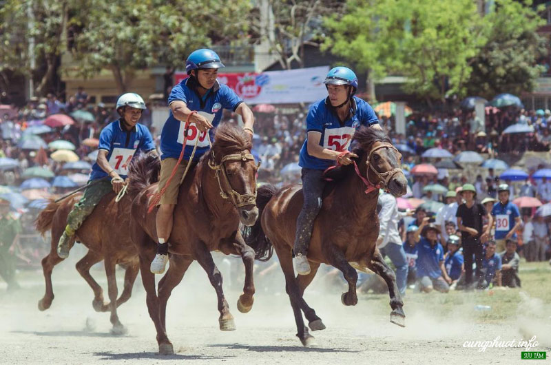 Horse Racing Festival