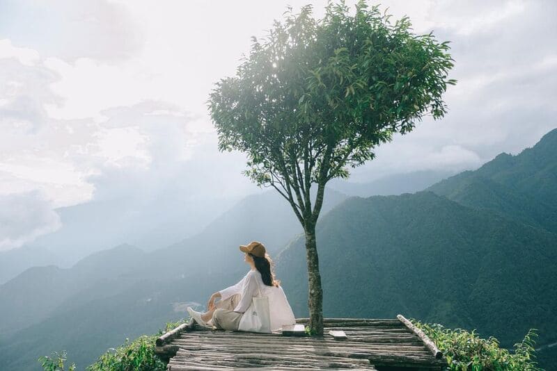 Top 10 cây cô đơn ấn tượng dọc bản đồ đất nước Việt Nam 5