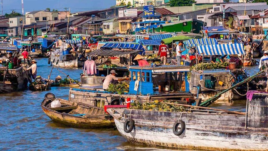 Check-in Cà Mau cùng loạt ảnh ấn tượng, đúng chất Tây Nam Bộ 5
