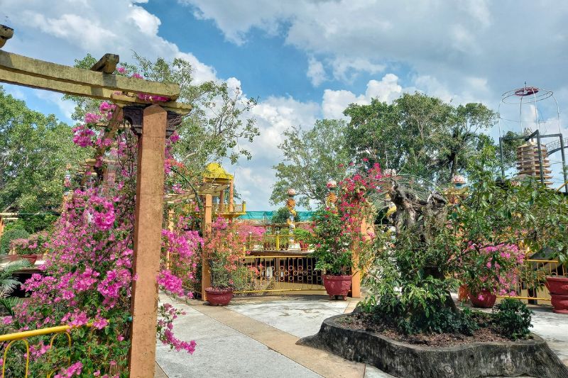 Check in Cồn Phụng Bến Tre đầy thú vị cùng anh chàng Mật Béo 4