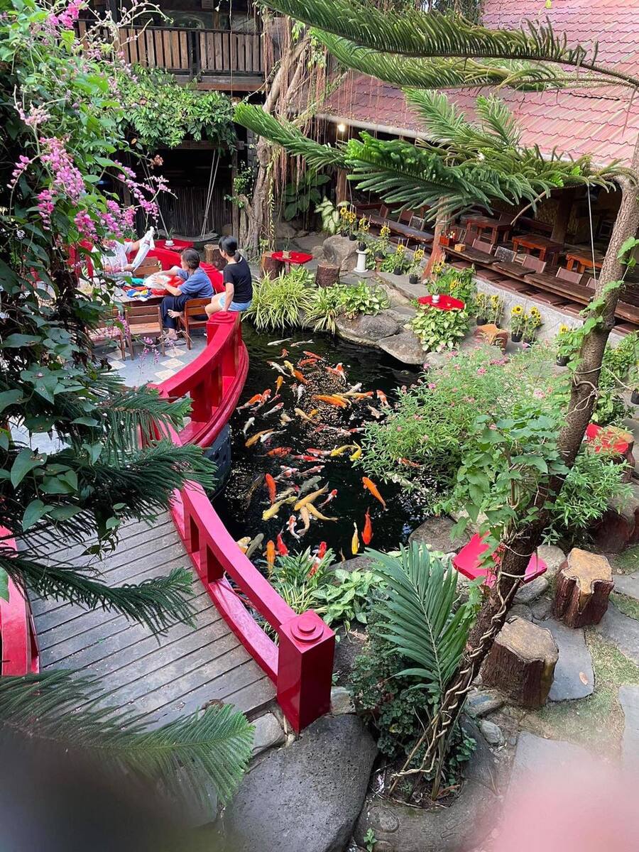 Check in Robusta Koi Garden, quán cafe có hồ cá Koi đẹp mê ly 7
