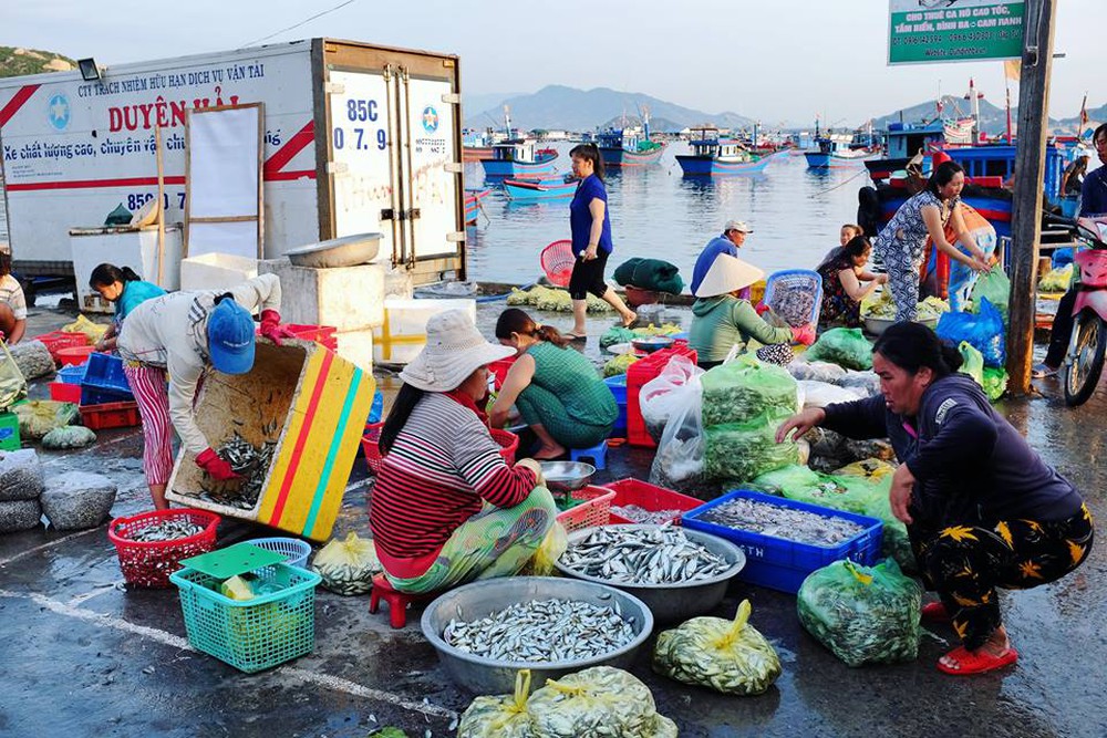 Tour khám phá Bình ba trong 1 ngày cực hấp dẫn 8