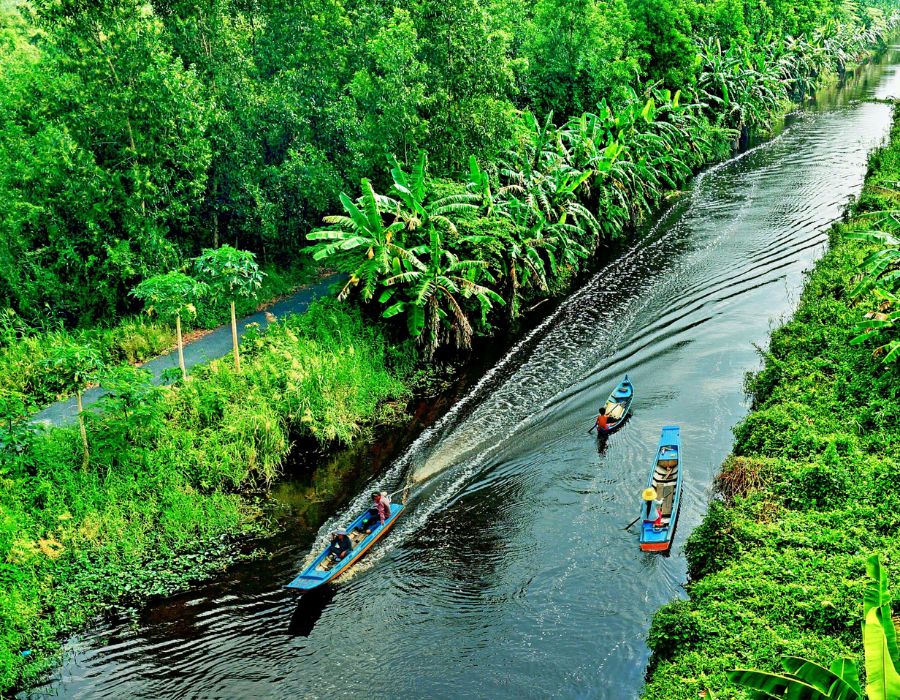 Chiêm ngưỡng Vườn quốc gia U Minh Hạ, vẻ đẹp thiên nhiên trù phú 4