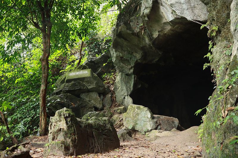 Đến Vườn quốc gia Cúc Phương khám phá hệ sinh thái trù phú 4