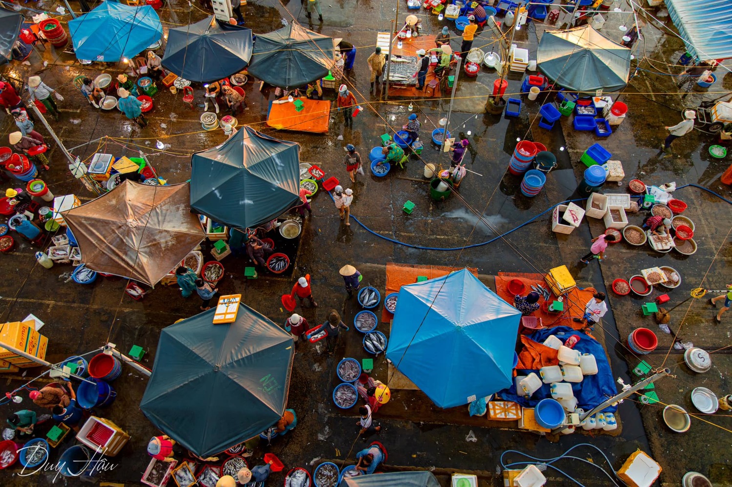 Chợ cá Thanh Hà Hội An – Chợ hải sản tươi sống ngon nhất phố cổ