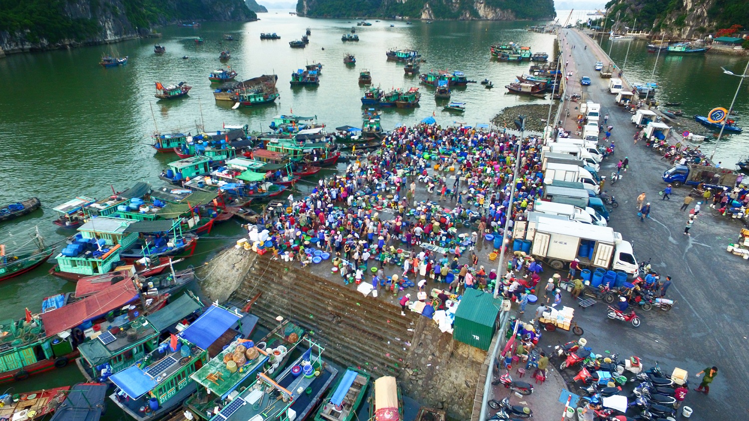 Chợ đầu mối hải sản Quảng Ninh có những điểm đặc biệt nào?
