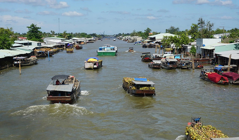 Chợ nổi Dừa trên sông Thom độc nhất vô nhị ở vùng Nam Bộ 2