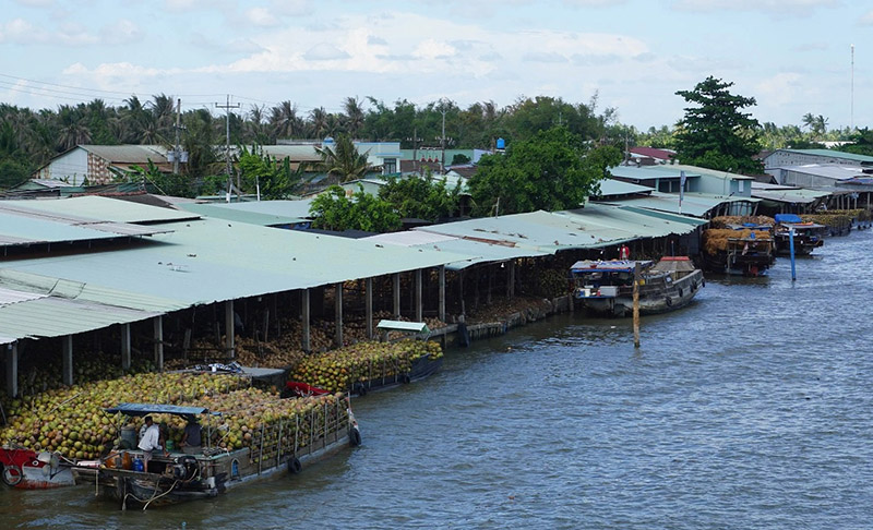 Chợ nổi Dừa trên sông Thom độc nhất vô nhị ở vùng Nam Bộ 3