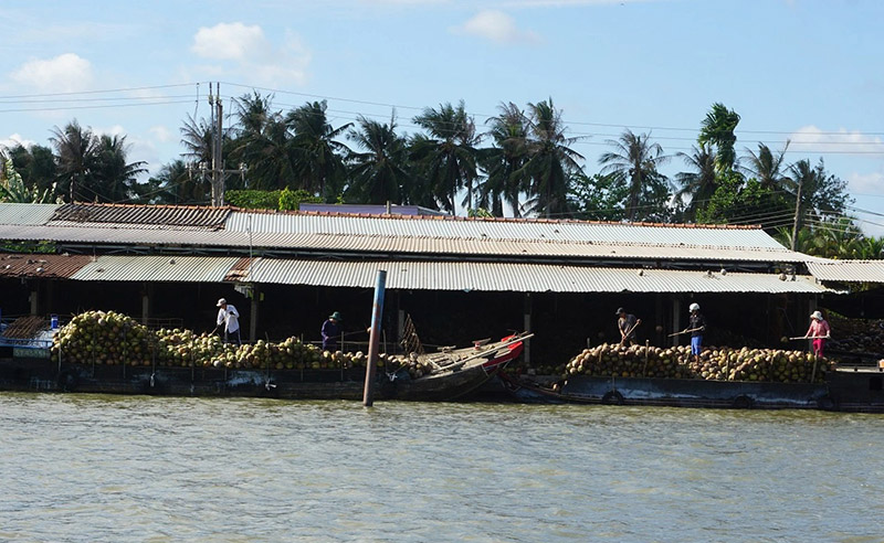 Chợ nổi Dừa trên sông Thom độc nhất vô nhị ở vùng Nam Bộ 4