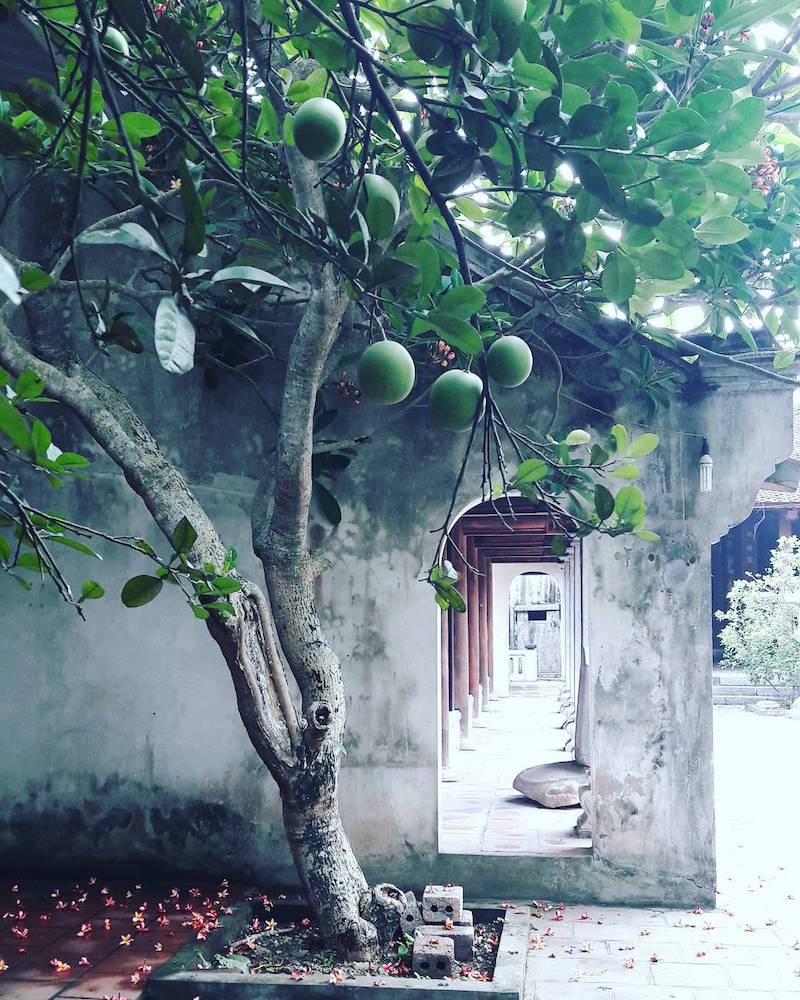 Vãn cảnh chùa Bà Đanh, chiêm ngưỡng vẻ đẹp xưa cũ bên bờ sông Đáy 12