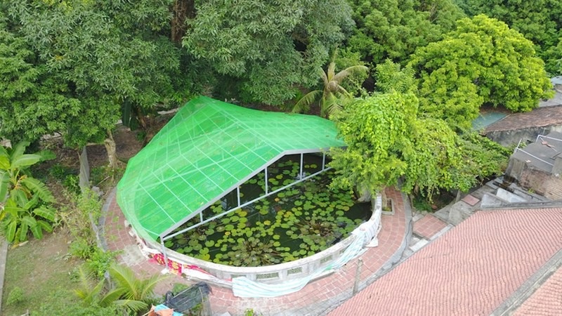 Vãn cảnh chùa Bà Đanh, chiêm ngưỡng vẻ đẹp xưa cũ bên bờ sông Đáy 13