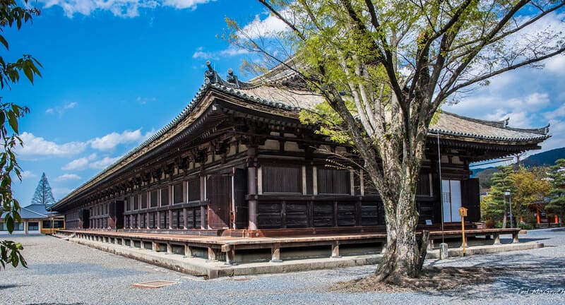 Top 10 chùa Nhật Bản nổi tiếng linh thiêng xứ Phù Tang 6