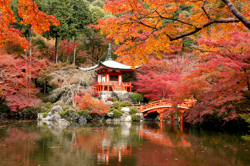 Top 10 chùa Nhật Bản nổi tiếng linh thiêng xứ Phù Tang 9