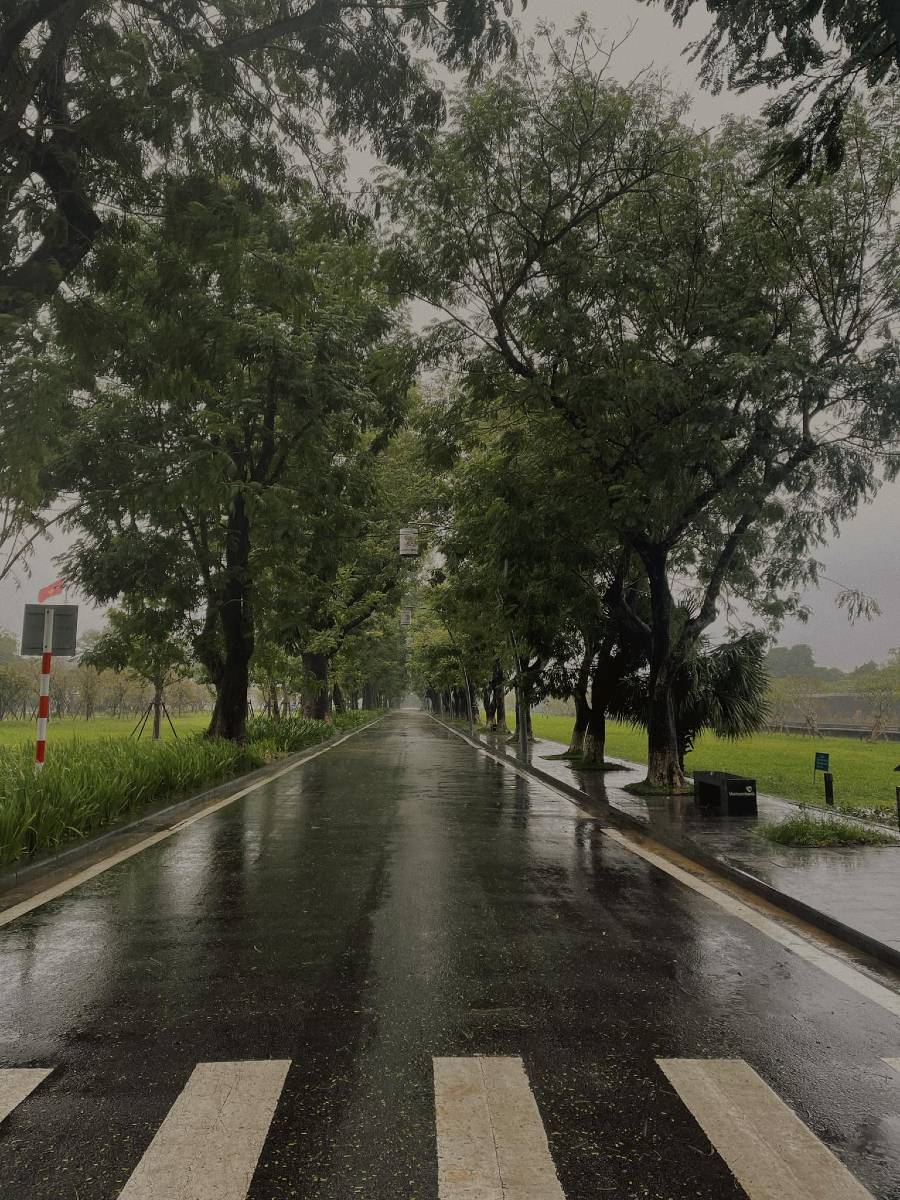 Có một Huế ngày mưa đẹp đến xao xuyến nỗi lòng 2