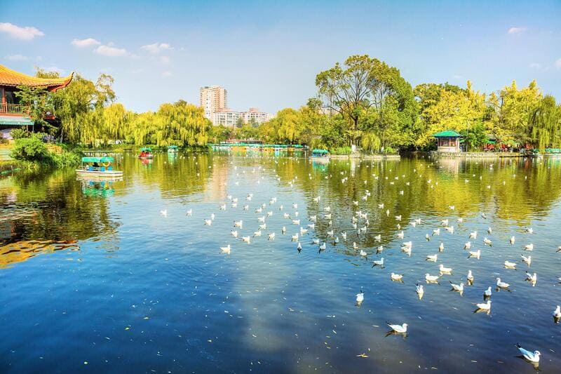 Tìm về Côn Minh, chiêm ngưỡng thành phố mùa xuân ngập tràn nắng ấm 7