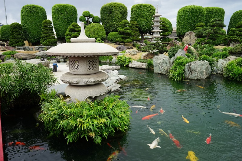 Đến công viên Cá Koi chiêm ngưỡng khu vườn Nhật Bản giữa lòng Sài Gòn 8