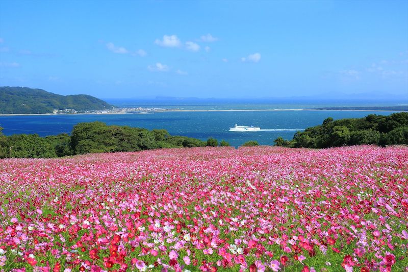 Top 12 điều nhất định phải làm ở Fukuoka, tín đồ xê dịch đừng bỏ qua 7