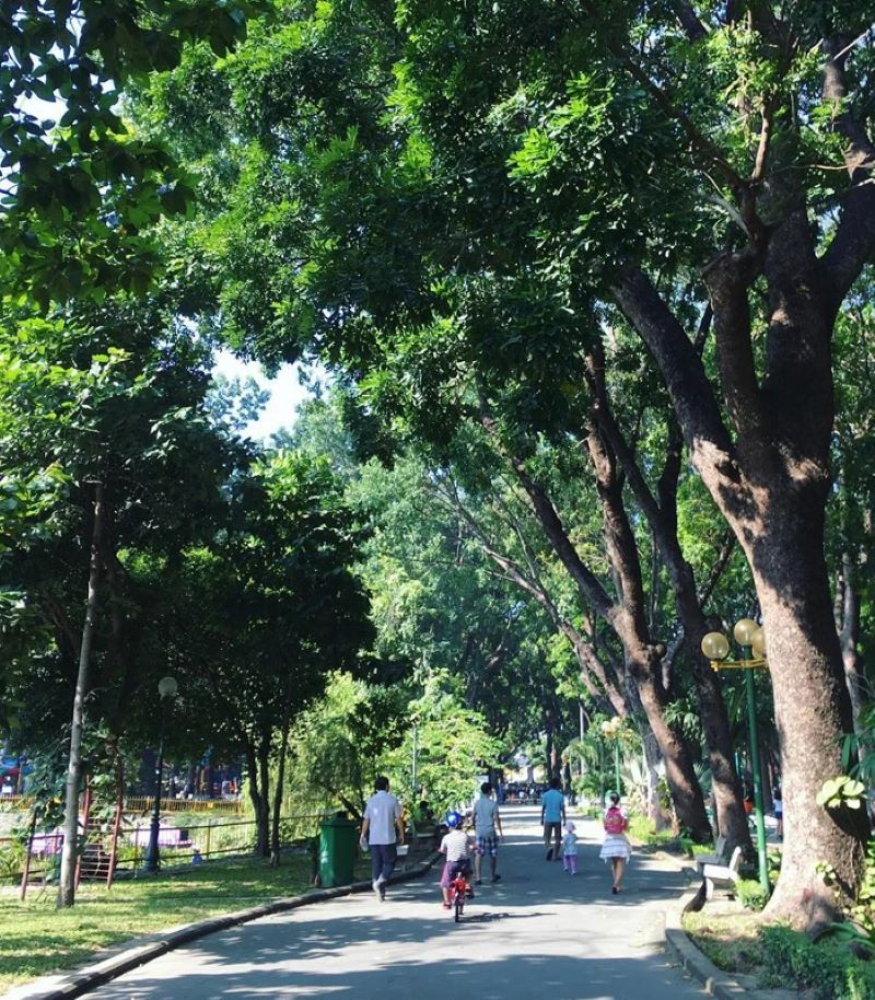Công viên Hoàng Văn Thụ, điểm đến xanh giữa lòng Sài thành 5