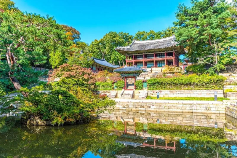 Chiêm ngưỡng cung điện Changdeokgung uy nghi và tráng lệ 3