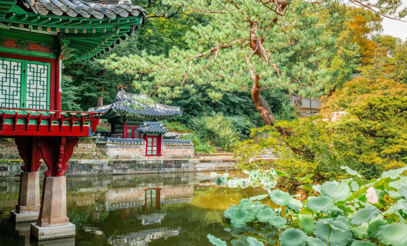 Chiêm ngưỡng cung điện Changdeokgung uy nghi và tráng lệ 5