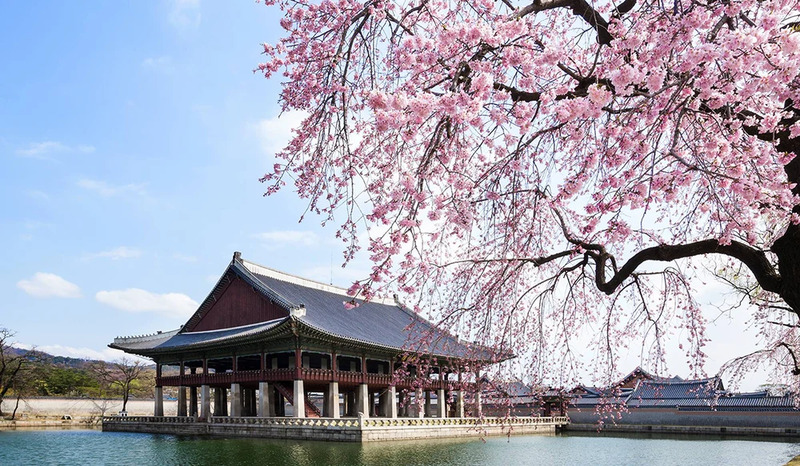 Cung điện Gyeongbokgung, viên ngọc quý của du lịch Đại Hàn 12