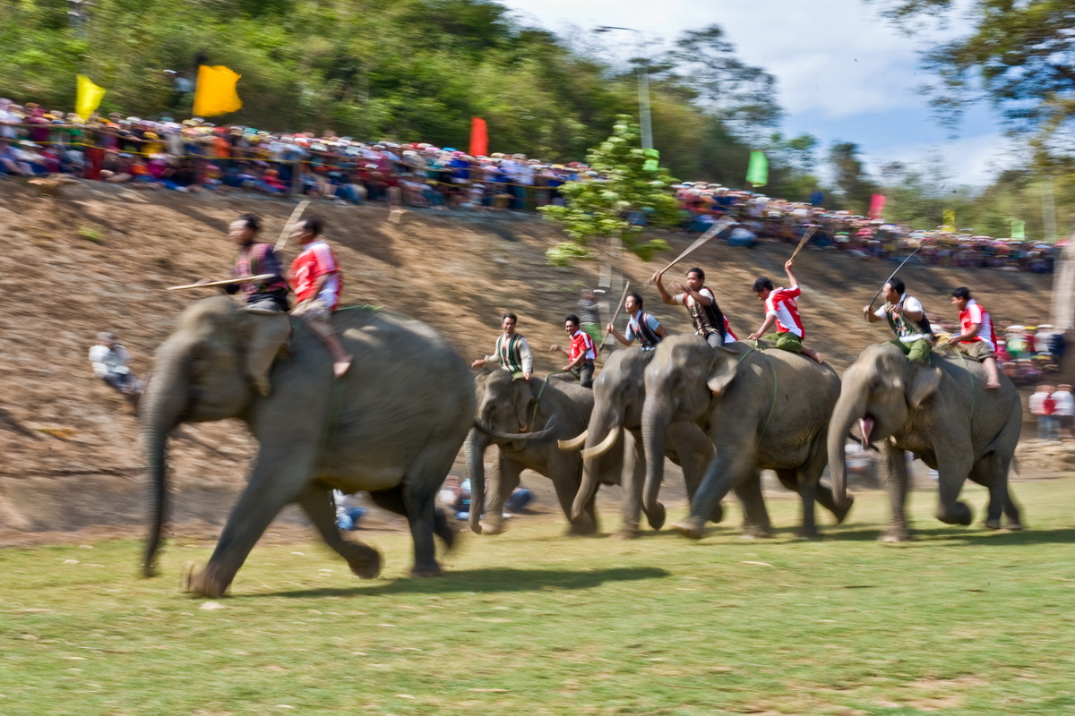 Hãy đến với lễ hội đua voi Buôn Đôn để được trải nghiệm một không khí sôi động, hào hứng và đầy màu sắc. Những người tham gia cuộc đua với những chú voi tuyệt đẹp sẽ khiến bạn không thể rời mắt khỏi từng giây phút của cuộc thi.