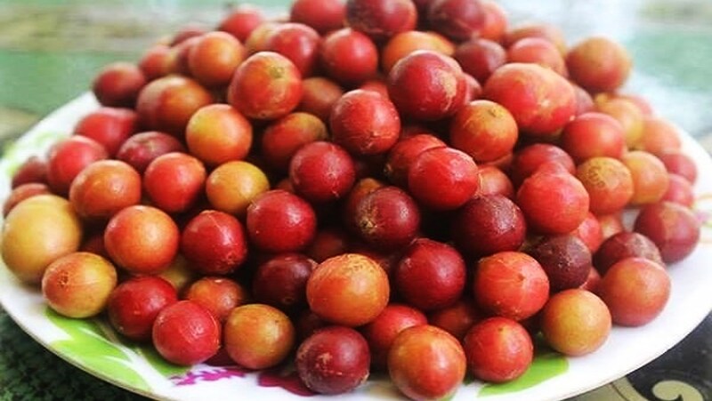 8 đặc sản Ninh Thuận với hương vị thơm ngon ngất ngây 5