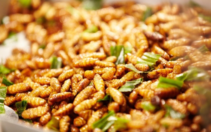 20 món đặc sản Tây Bắc mang đậm hơi thở núi non trùng điệp 19