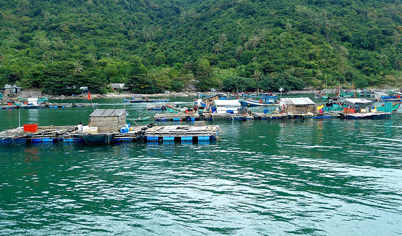 Đảo Hòn Nghệ, viên ngọc thô ẩn mình giữa xứ biển Kiên Giang 11