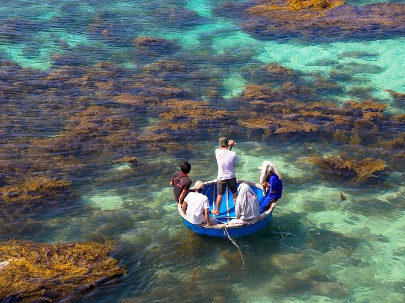 Cẩm nang du lịch đảo Lý Sơn cực chi tiết dành cho bạn 17