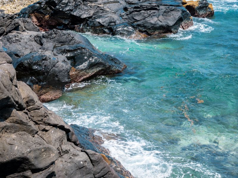 Cẩm nang du lịch đảo Lý Sơn cực chi tiết dành cho bạn 10
