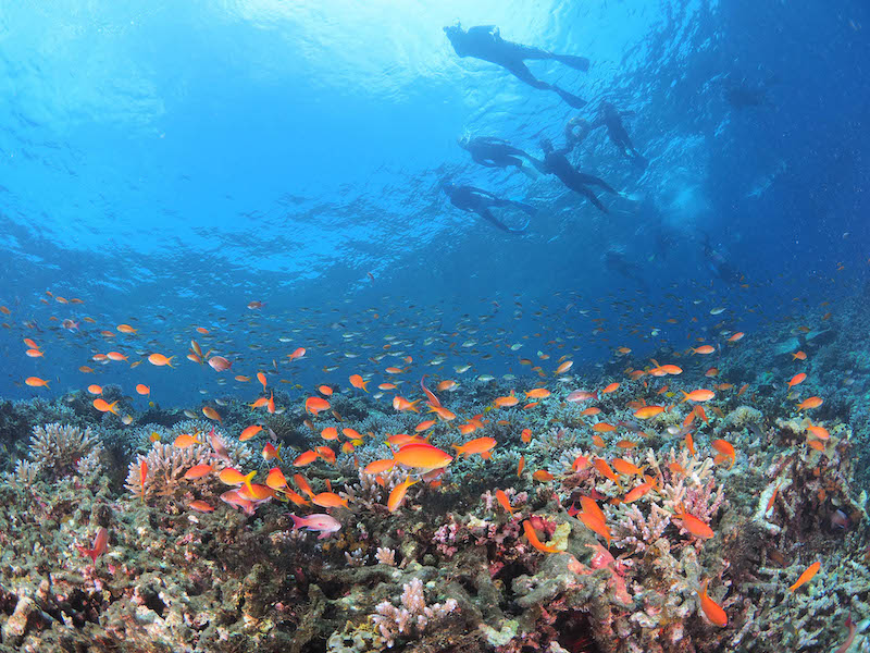 Du ngoạn đảo Okinawa, chinh phục viên ngọc quý ngoài khơi Nhật Bản 13