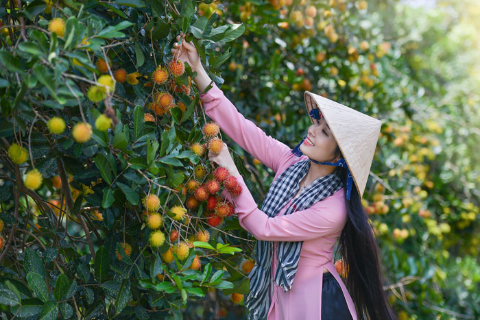 Đến Cồn Mỹ Phước hòa mình vào không gian xanh trong lành, thư thái 4